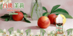 LEON煙油：圖片 5